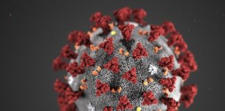 Coronavirus detected in semen of infected men: Chinese study