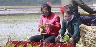 North Korea among 47 countries facing food shortages due to pandemic: UN agency