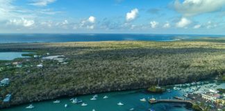 ‘Adapt and survive’ as Galapagos girds for life without tourism