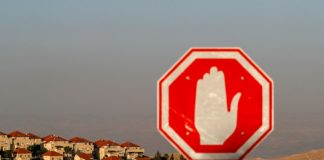 Israel’s annexation plans ‘illegal’: UN rights chief