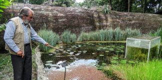 Botanist battles lockdown to save Andean garden paradise