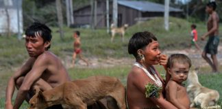 Virus poses cultural threat to Brazil’s Amazon tribes