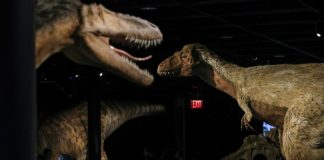 Dinosaurs got cancer too, say scientists