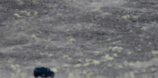 Scorching temperature in US’s Death Valley could be global high