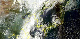 Typhoon Maysak expected to hit S. Korea next week