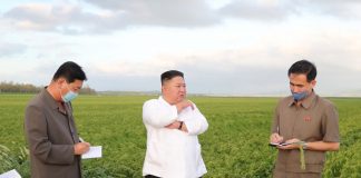 WHO says N. Korea has yet to report infection