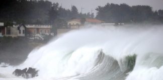 Typhoon Maysak picking up speed as it approaches S. Korea