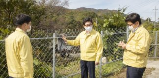 Another ASF-infected boar found, authorities on alert