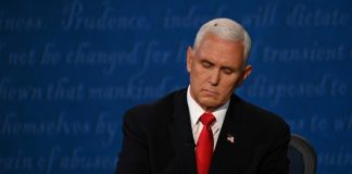 Fly swatters and Covid coins: this week on the US campaign trail