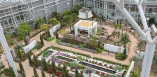 Nation’s first urban national arboretum opens in Sejong