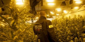 Spain: A paradise of weed for Europe’s drug traffickers