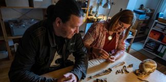 Ancient skeleton found in Germany offers clues on prehistoric era