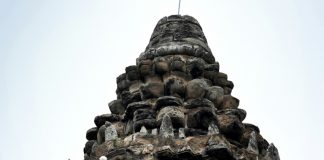 Saving Angkor Wat: Cambodia’s ninja gardeners tame jungle