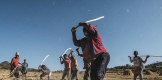 Tigray clamours for aid as conflict leaves hunger in its wake