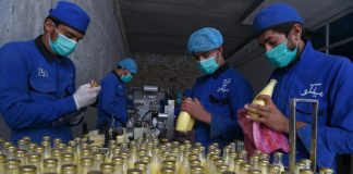 Afghan dairy entrepreneur walks political tightrope to stay afloat
