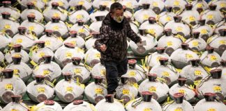 Pandemic overshadows Japan’s New Year tuna auction