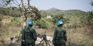 Two UN troops killed in C. Africa as president’s re-election confirmed