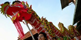 Dragon dancers scale up ambitions in Vietnam