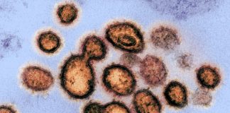 WHO experts want ‘more data’ from China on possible early Covid cases